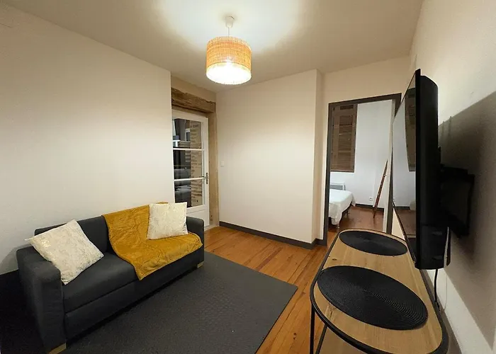 Le Blin-thomas - Montauban's Historic Heart Appartement